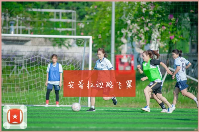 安哥拉边路飞翼