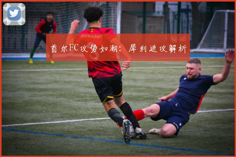 首尔FC攻势如潮：犀利进攻解析