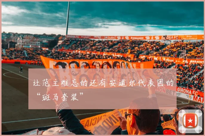让范主难忘的还有安道尔代表团的“斑马套装”