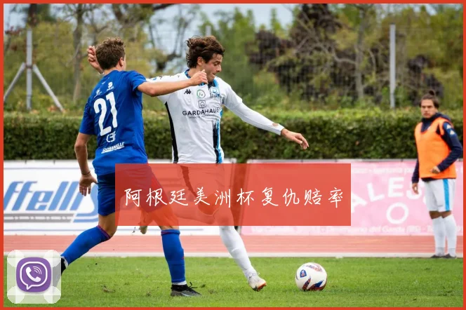 阿根廷美洲杯复仇赔率