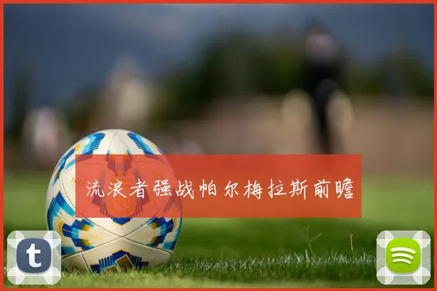 流浪者强战帕尔梅拉斯前瞻