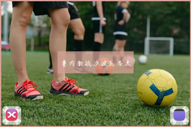 鲁内激战沙波瓦洛夫
