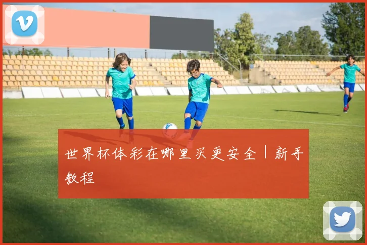 世界杯体彩在哪里买更安全｜新手教程