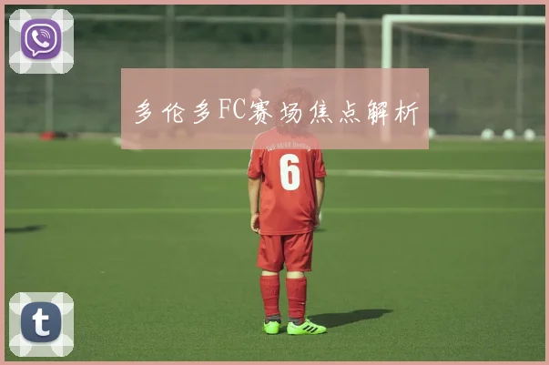 多伦多FC赛场焦点解析