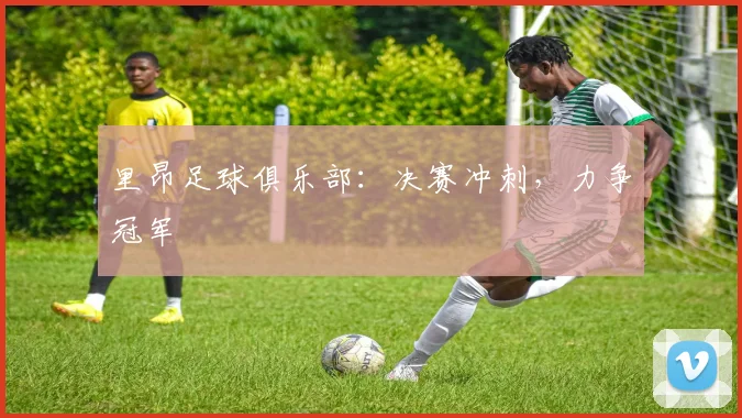 里昂足球俱乐部：决赛冲刺，力争冠军