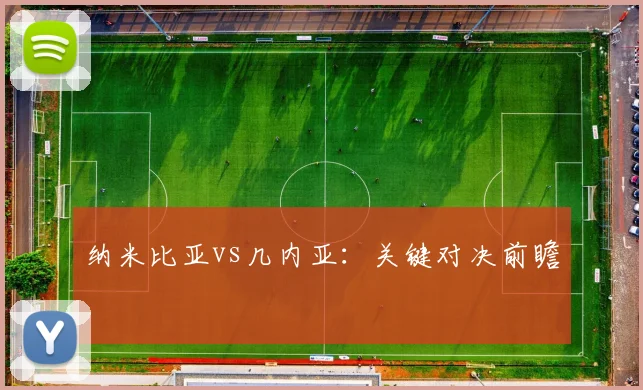 纳米比亚vs几内亚：关键对决前瞻