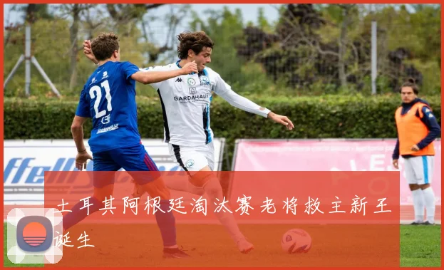 土耳其阿根廷淘汰赛老将救主新王诞生