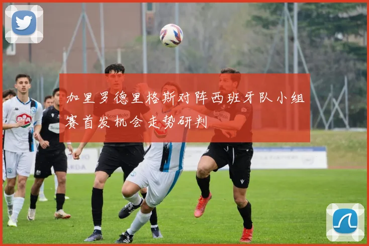 加里罗德里格斯对阵西班牙队小组赛首发机会走势研判