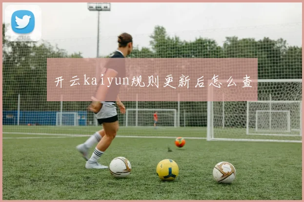 开云kaiyun规则更新后怎么查