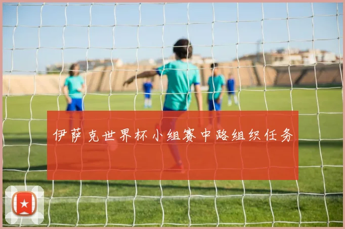 伊萨克世界杯小组赛中路组织任务