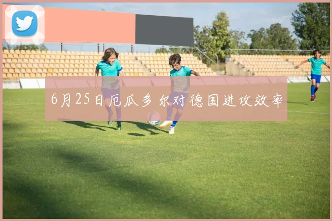 6月25日厄瓜多尔对德国进攻效率