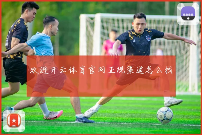 欢迎开云体育官网正规渠道怎么找