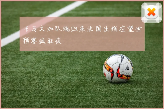 卡马文加队魂归来法国出线在望世预赛疯狂夜