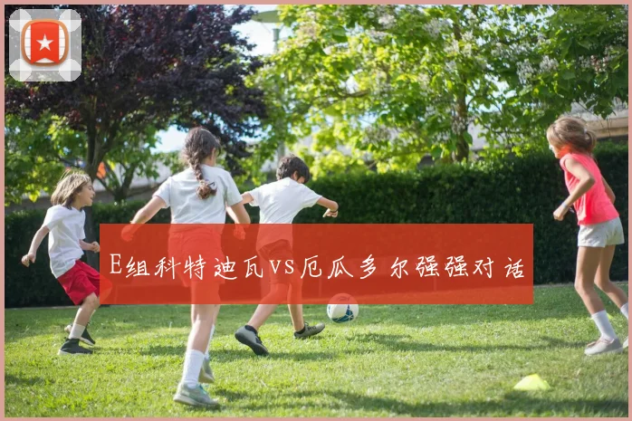 E组科特迪瓦vs厄瓜多尔强强对话