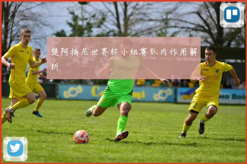 楚阿梅尼世界杯小组赛队内作用解析