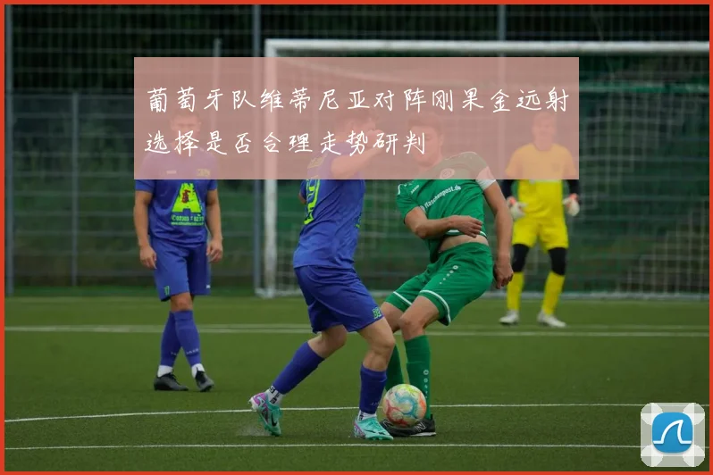 葡萄牙队维蒂尼亚对阵刚果金远射选择是否合理走势研判