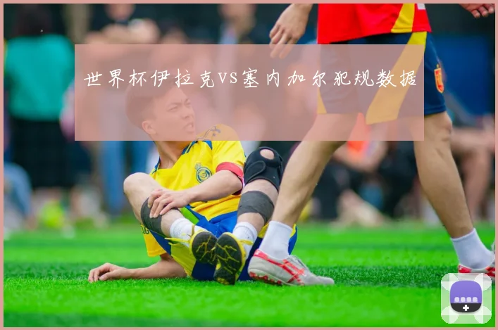 世界杯伊拉克vs塞内加尔犯规数据